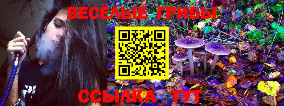 Псилоцибиновые грибы Cubensis  Вход с VPN  Мирный 